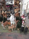 IMG_20181130_125812_resized_20181201_124427154