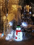 sneeuwpop