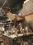 IMG_20181130_133010_resized_20181201_124230218