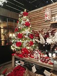IMG_20181130_133136_resized_20181201_124228210