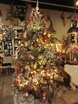 IMG_20181204_140656_resized_20181204_051632063