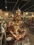 IMG_20181204_140704_resized_20181204_051629717