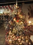 IMG_20181204_140756_resized_20181204_051626678
