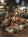 IMG_20181204_140821_resized_20181204_051628258