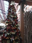 IMG_20181204_144340_resized_20181204_045540080