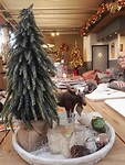 IMG_20181204_144454_resized_20181204_045541801