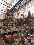 IMG_20181204_131104_resized_20181204_073119021