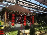 IMG_20181204_131358_resized_20181204_073125214