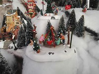 IMG_20181204_132631_resized_20181204_075453928