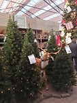 IMG_20181204_132712_resized_20181204_075452275
