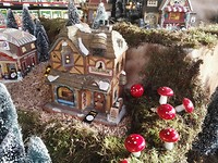 IMG_20181204_132857_resized_20181204_080244625