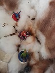 IMG_20181204_133045_resized_20181204_090404693