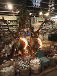 IMG_20181204_135044_resized_20181204_093529885