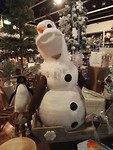 IMG_20181204_135058_resized_20181204_071338548