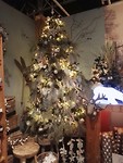 IMG_20181204_135108_resized_20181204_071334599