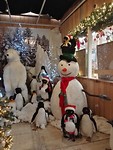 IMG_20181204_135834_resized_20181204_071333798