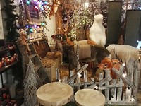 IMG_20181204_135845_resized_20181204_071336253