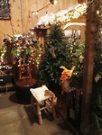 IMG_20181204_140011_resized_20181204_071339533