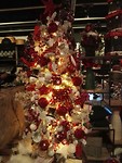 IMG_20181204_140344_resized_20181204_071332413