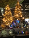 IMG_4397 kerstlandschap