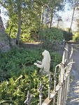 Voor de Mariagrot