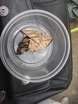 IMG_20190521_121725