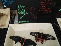 IMG_20190521_134904