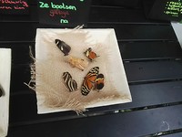 IMG_20190521_134907