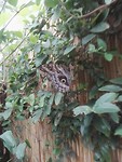 IMG_20190521_134950