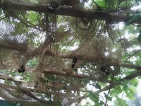 IMG_20190521_135016