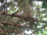 IMG_20190521_135030