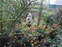 IMG_20190521_135057