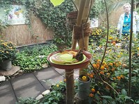 IMG_20190521_135147
