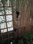 IMG_20190521_135155
