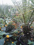 IMG_20190521_135229