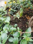 IMG_20190521_135346