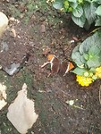 IMG_20190521_135356