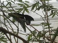 IMG_20190521_135609