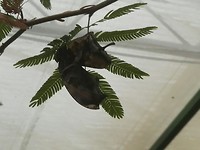 IMG_20190521_135626