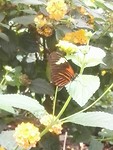 IMG_20190521_135755
