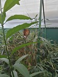 IMG_20190521_135923