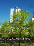 IMG_20190421_100737