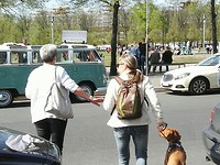 Volkswagen T1