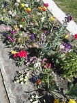 IMG_20190420_133539