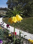 IMG_20190420_133544