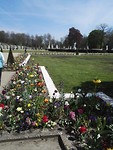 IMG_20190420_133557