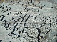 IMG_20190420_154002