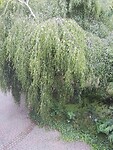 uitzicht
