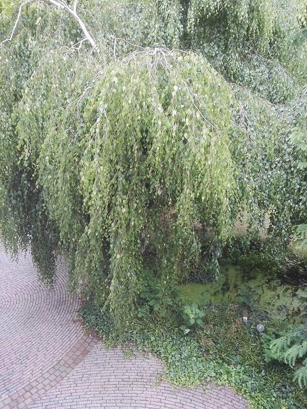 uitzicht