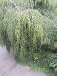 IMG_20200607_154223
